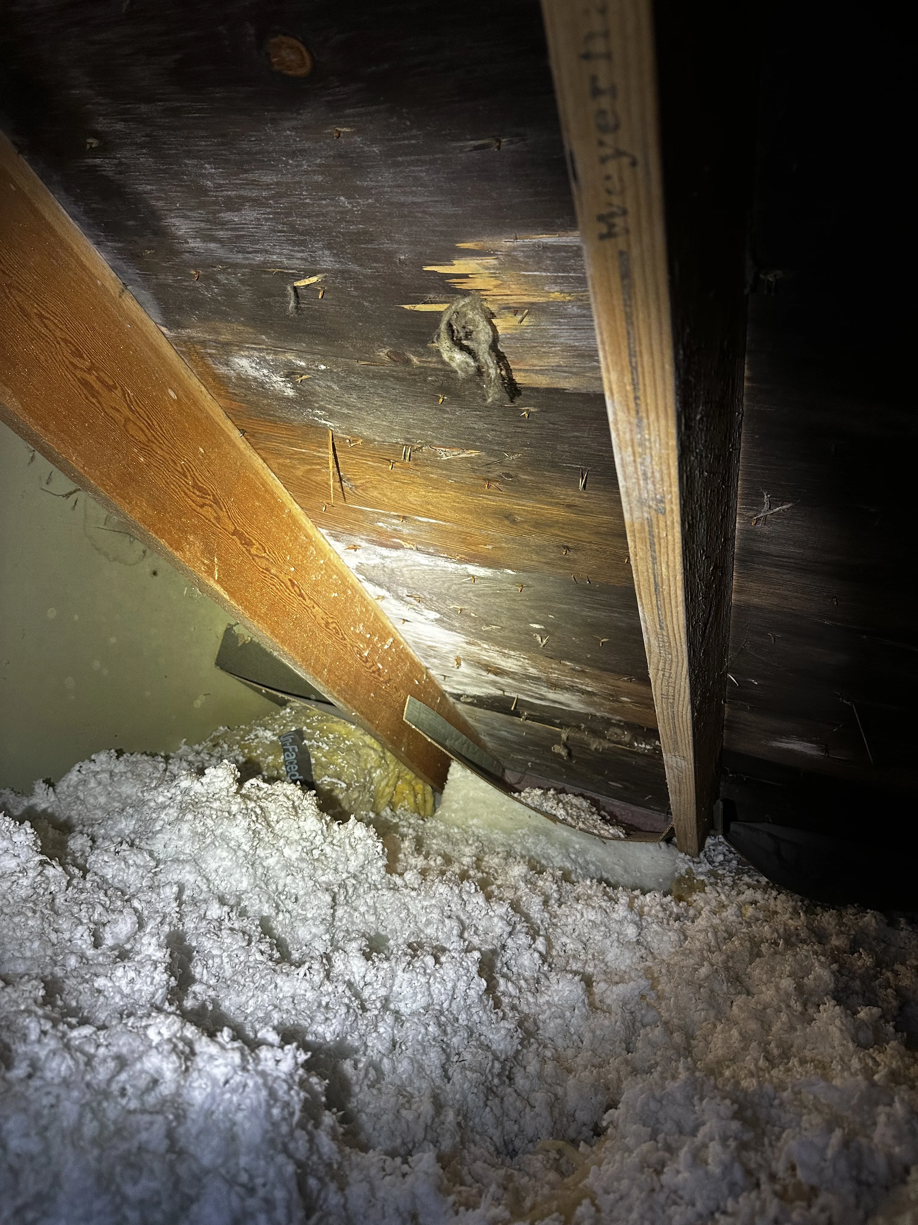 Alaska Roof Deck Spray Foam Insulation