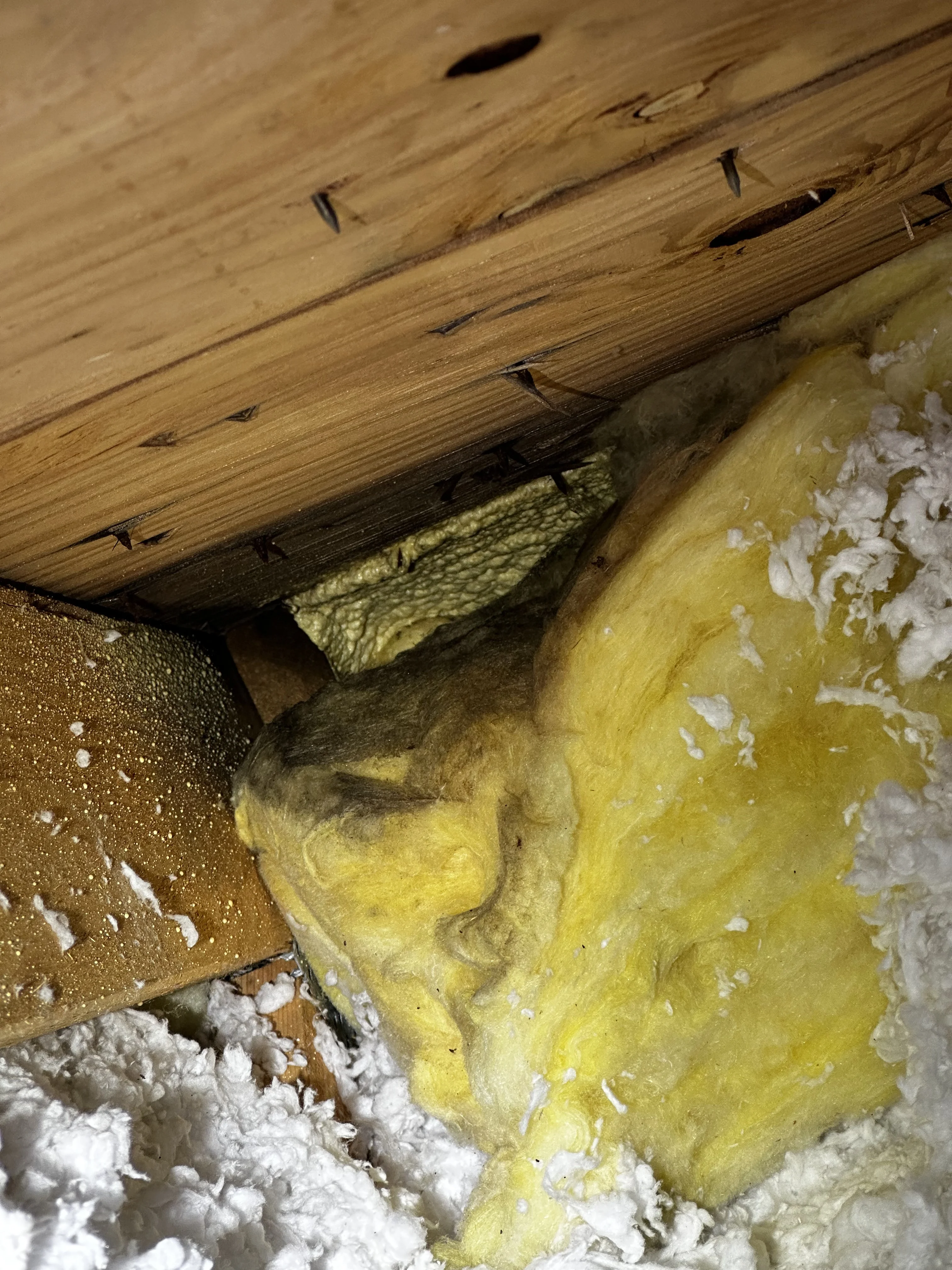 Alaska Spray Foam R Value Demonstration