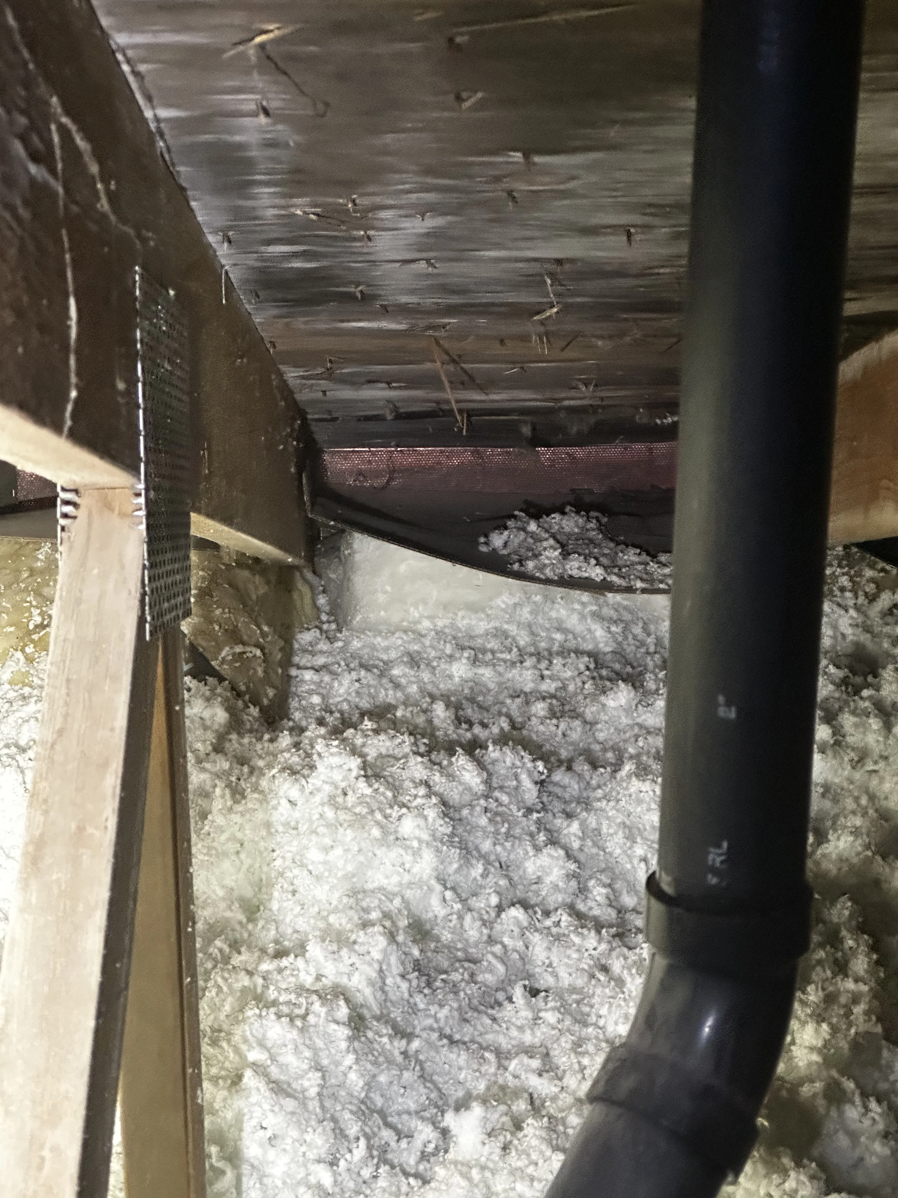 Anchorage Ceiling Spray Foam Application